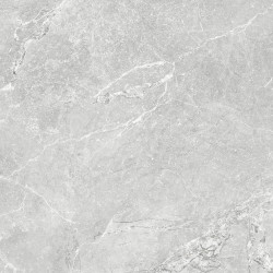 TUBĄDZIN Gobi grey STR Płytka gresowa 798x798