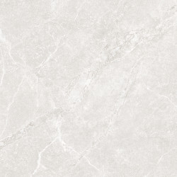 TUBĄDZIN Gobi light grey STR Płytka gresowa 798x798