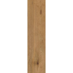 PARADYŻ płyta tarasowa Trueland gold 119,5 x 29,5