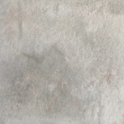 PARADYŻ płyta tarasowa Burlington silver 59,5 x 59,5